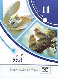 11 urdu book punjab board